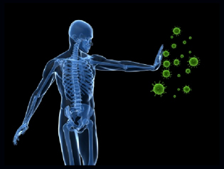 natural organic remedies for cancer