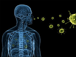 germ theory
